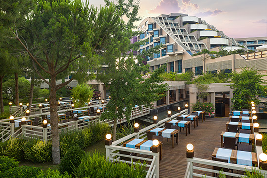 Susesi Luxury Resort Ana Restoran Card2